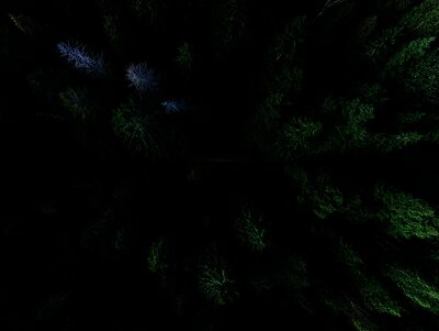 Photo by Geran de Klerk