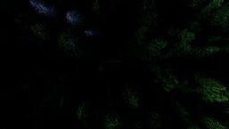 Photo by Geran de Klerk