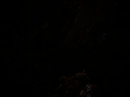 Cheers For The Years, by Felix Russell-Saw