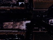 Photo by Nikita Maru